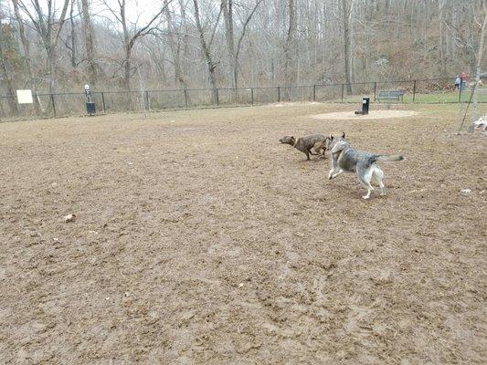 Lynchburg Dog Park