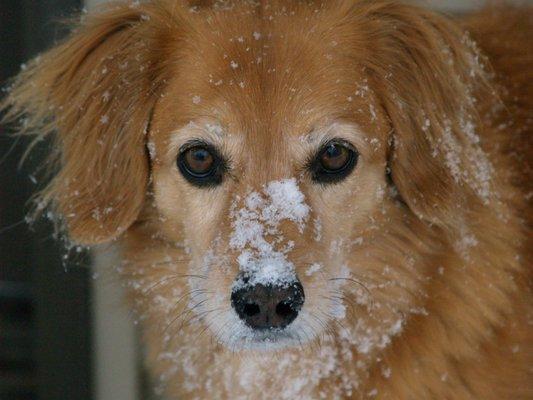 Happy Tails Animal Hospital