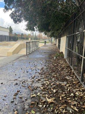 The crowded thoroughfare