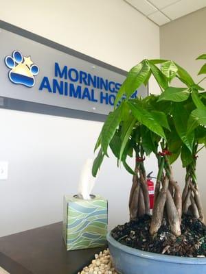 Morningstar Animal Hospital