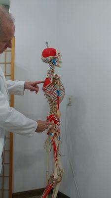 Donald W Kipp - Body Awareness Pain Relief