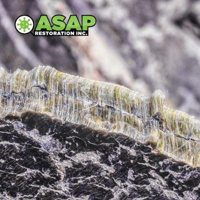 Asbestos Fibers Close-Up - Concerned about asbestos? Our experts safely test and remove it.