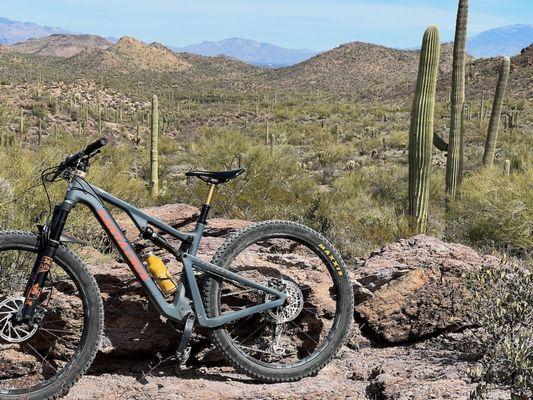 Tucson Mountain Park