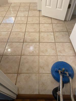 Absolute Best Carpet Cleaning