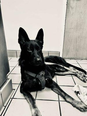 Oaks Veterinary Clinic