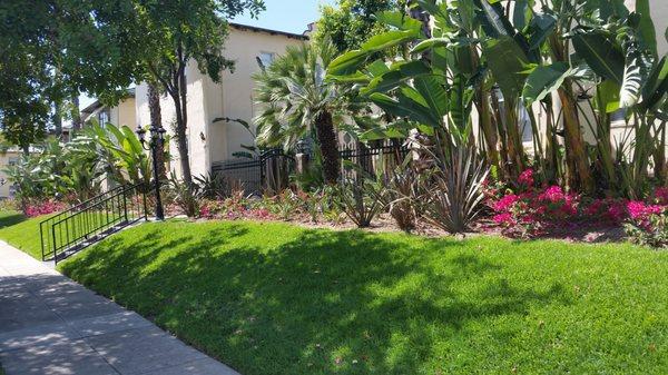 South Olive Apartments