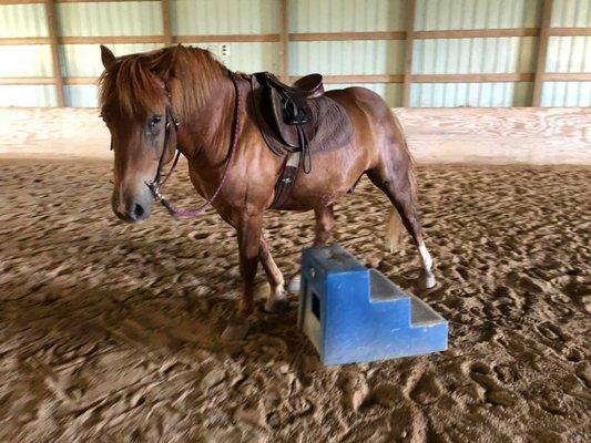 Two Hearts Equestrian Center