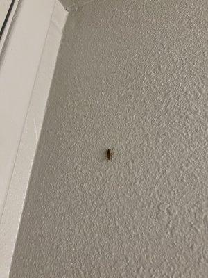 River Park Apartments