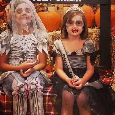 Queen Creek Pumpkin Fresh From The Farm