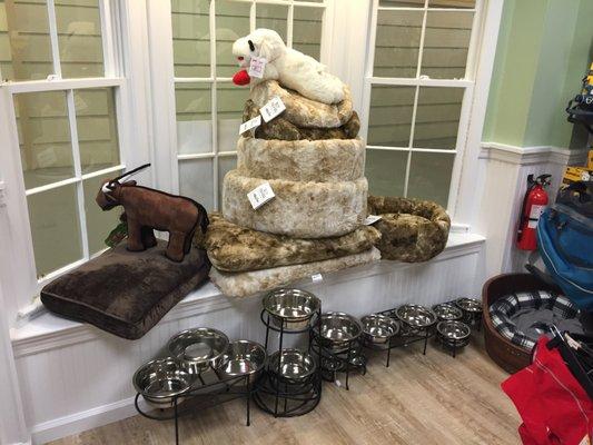Some of our specialty items - high quality raised feeders, super comfortable beds, and Lamb Chop!