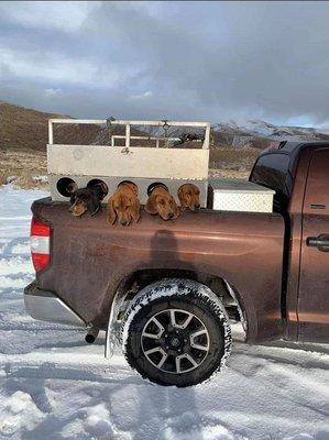 Lickity Split Outfitters