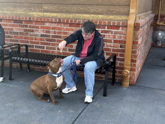 Humane Society of the Ohio Valley