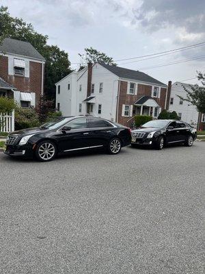 M & M Limo and Taxi