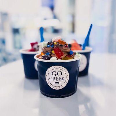 Go Greek Yogurt
