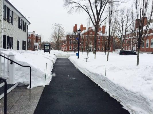 Radcliffe Institute For Advanced Study