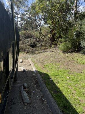 Dave D Helping Hands Foundation