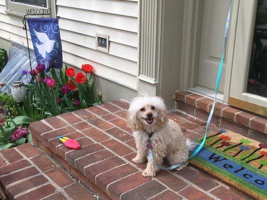 Attorney Steve Plaisted - PeaceLaw