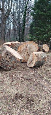 ViewPoint Tree Service