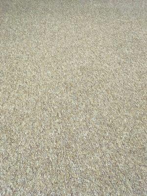 Westport Road Baptist Church