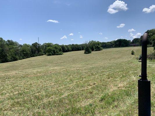 Waltmans Land Services