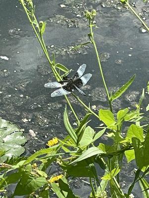 Silver Lake State Park