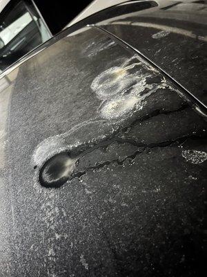 Broadville Condominiums