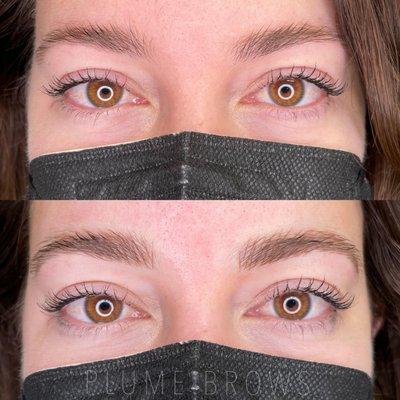 Plume Brows