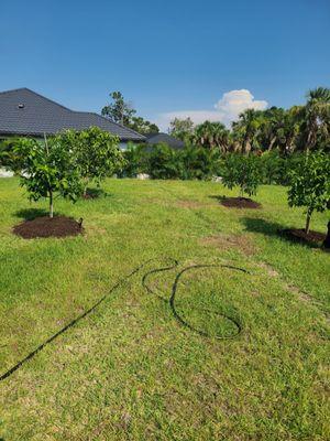 Plant Source Landscaping Co.
