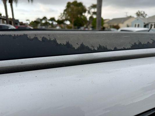 This is the paint that is not covered under the extended warranty.