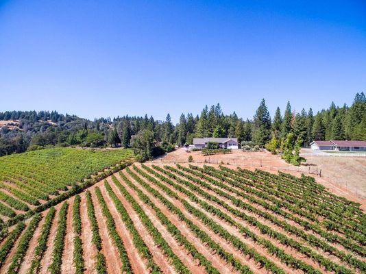 Karen Larson-RE/MAX Gold