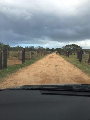 Kawailoa Ranch Company