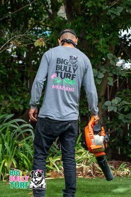 Big Bully Turf
