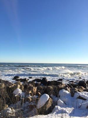 Ayurveda Wellness Healing