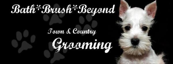 Town & Country Grooming