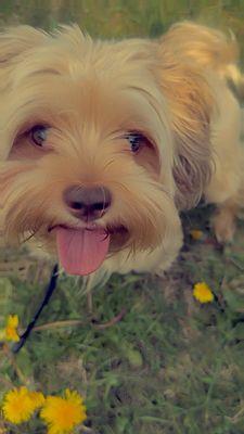 Asher couldn't be any more happy to feel better and enjoy his time outside
