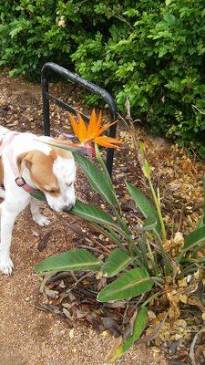 Stopping and smelling the flowers!