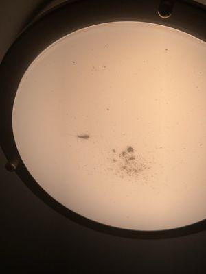 Eagle Rock Apartments at Carle Place