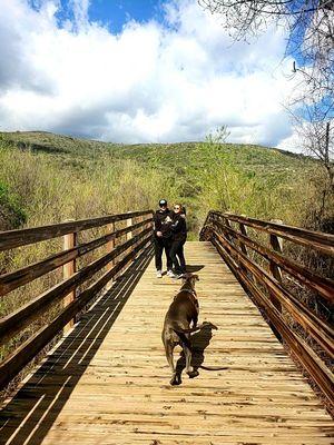 Another bridge over the river