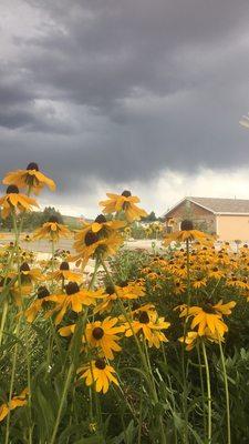 Trying to beat the rain