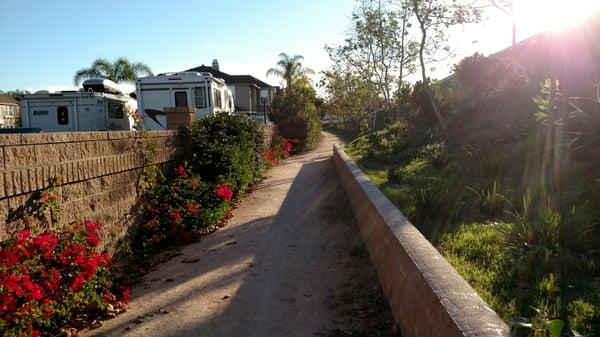 Trail At Poinsettia and Avenida Encinas