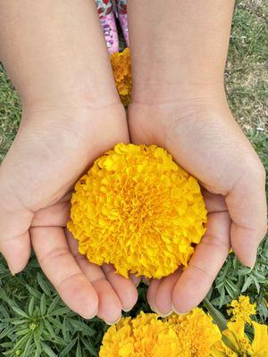 You are in good hands