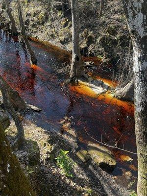 Leon Sinks Geological Area