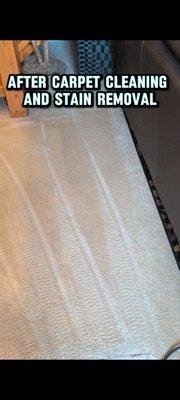 Precision Carpet Clean