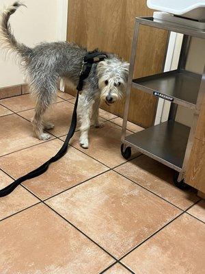 Sepulveda Animal Hospital