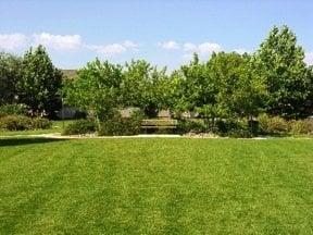 Empire Ranch Estates Park