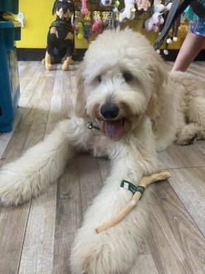 Simbas favorite treat ox tail!! Single ingredient safe for pups great for teething & or rough chewers. Less than $3 !!