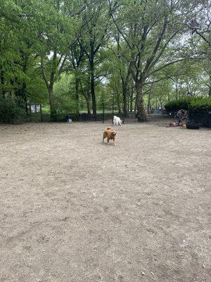 105th St Dog Run