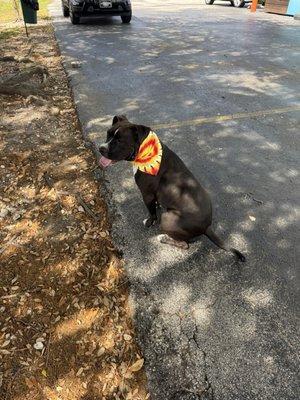 Lucky Puppy Nail Specialist