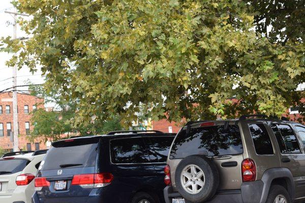 Brioso Public Parking Lot