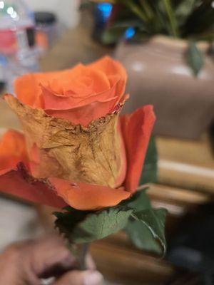 Smart & Final Extra!